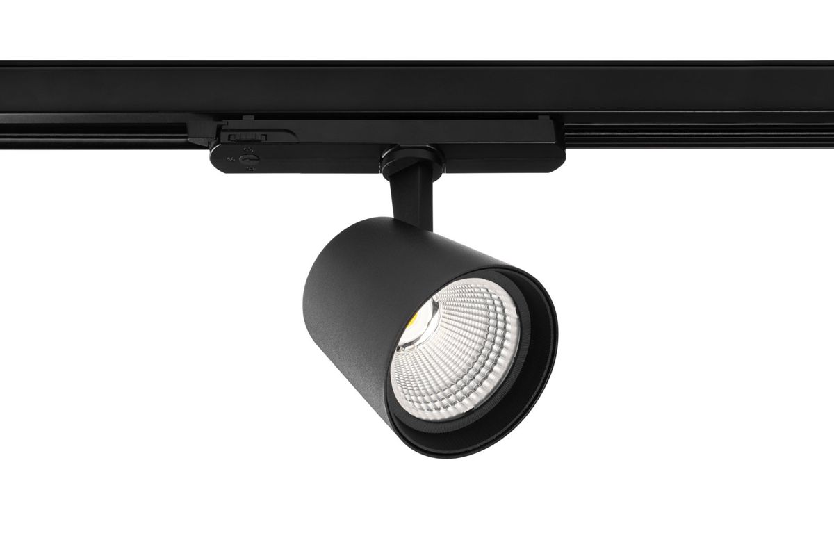 Proiector sina 3F EXPO 30W 3000lm CCT AC180-250V 60° negru
