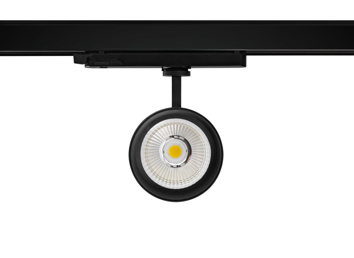 Proiector sina 3F EXPO 30W 3000lm CCT AC180-250V 60° negru