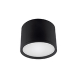 Spot LED aplicat de tavan ROLEN, 7 W, 580 lm, lumina reglabila CCT, negru